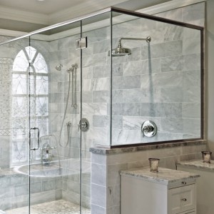 shower curtain or glass door